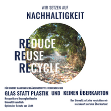 Lade das Bild in den Galerie-Viewer, Vienna's Astaxanthin