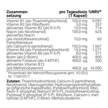Lade das Bild in den Galerie-Viewer, Vienna's Schutzschild
