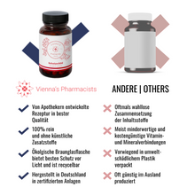 Lade das Bild in den Galerie-Viewer, Vienna's Schutzschild