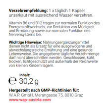 Lade das Bild in den Galerie-Viewer, Vienna's Schutzschild