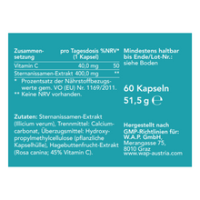 Lade das Bild in den Galerie-Viewer, Vienna's Sternanis