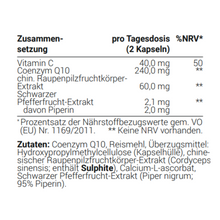 Lade das Bild in den Galerie-Viewer, Vienna's Vitalität