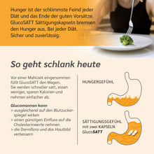 Lade das Bild in den Galerie-Viewer, GlucoSatt Sättigungskapseln | 60 Kapseln