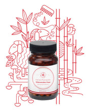 Lade das Bild in den Galerie-Viewer, Vienna's Glänzendes Haar