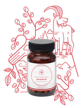 Lade das Bild in den Galerie-Viewer, Vienna's Muskelkraft