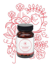 Lade das Bild in den Galerie-Viewer, Vienna's Nervenwohl