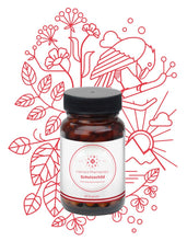 Lade das Bild in den Galerie-Viewer, Vienna's Schutzschild